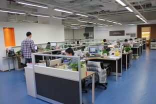 看准网深度剖析 运输代理行业的职场生态与发展趋势